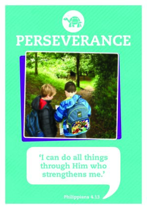 Perseverance poster