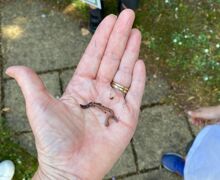 Ab8717e0 0491 4611 b3cf 4259529efe5c